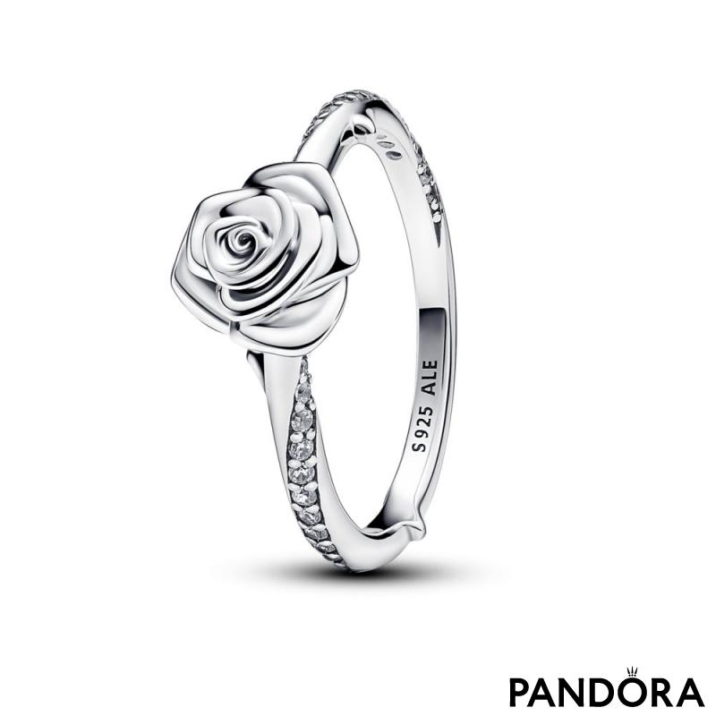 Prsten ruža u cvatu 